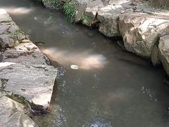 -兰亭风景区