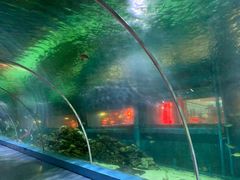 -北国之春国宴(乌兰察布店)