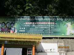 -打洛口岸