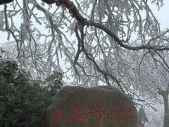 -紫金山山顶公园