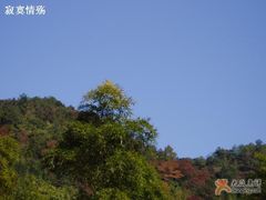 -广州市流溪河国家森林公园