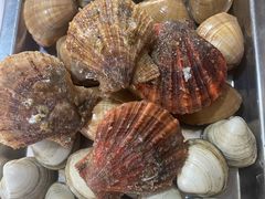 扇贝+黄蚬+白蚬-农民烧烤(延边社区店)