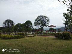 -铁山坪森林公园