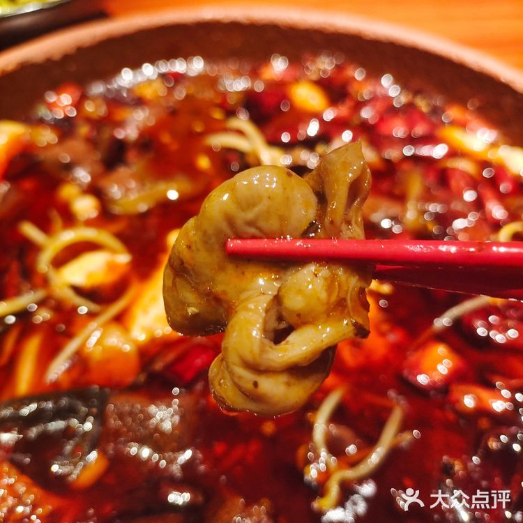 一家经济实惠的宝藏川菜馆，快来尝尝吧[加油][加油]