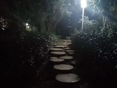 -人民公园(罗湖区)