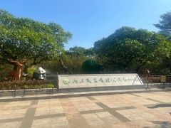 -广东茂名森林公园