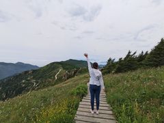 -白草畔自然风景区