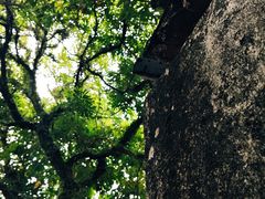 -三溪村