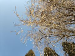 -莲池书院博物馆