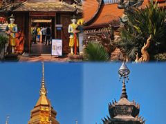 -西双版纳傣族园