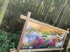-塔川景区