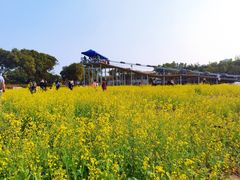 -长洲岛都市农业公园