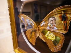 -信不信由你博物馆