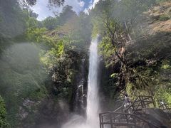 -莫里热带雨林景区