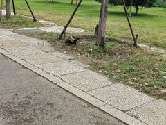 -二一九公园