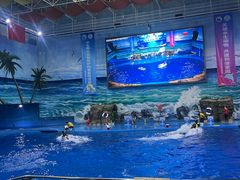 -多彩贵州城极地海洋世界