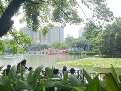 -荔湾湖公园