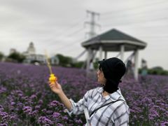 -紫颐香薰山谷景区