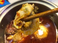 -龍歌自助小火锅(李沧丽达店)