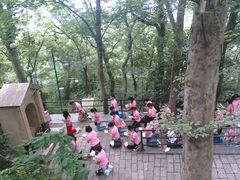 -上海佘山国家森林公园西佘山园