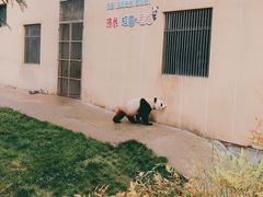 -西安秦岭野生动物园