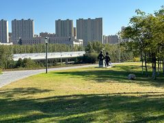 -长春世界雕塑园冰雪艺术天地