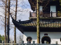 -汇龙潭