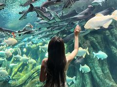 -哈尔滨波塞冬海底世界