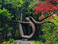 -杭州植物园