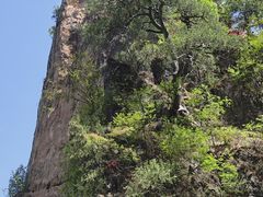 -塔云山