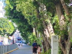 -宝安西湾红树林湿地公园