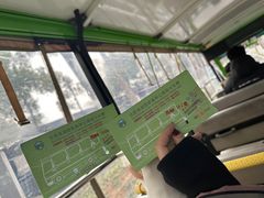 -合肥滨湖国家森林公园
