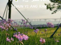 -南沙蒲洲花园