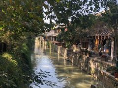 -枫泾丁氏烧卖(枫丽路店)
