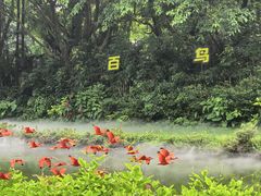 -广州长隆飞鸟乐园