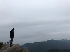 -清溪森林公园