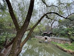 -红梅公园