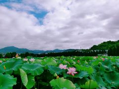 -古田会议纪念馆