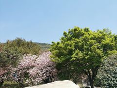 -缥缈峰景区