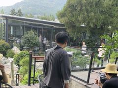 -蘇河湾·新鲁菜·泰山宴(泰山店)