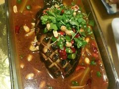 -素虎小呆鸟(西二旗店)
