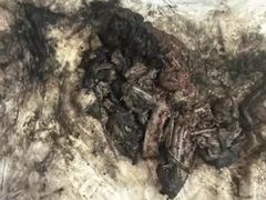 -御面斋精品面馆