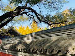 -北京国子监胡同