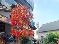 -后湖小院·乡野田园菜