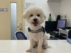 -宠颐生动物医院·心脏科·保险定点(锦阳分院)