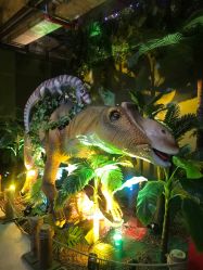 -恐龙探索乐园(磁器口店)