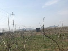 -徐州市湖滨中心小学