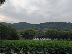 -枣子树·素食餐厅(普陀山店)