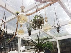 -拾壹cafe·工作室