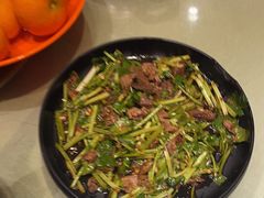 -刘胖子家常菜·蹄花焖藕(兴业店)